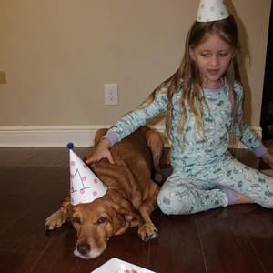 Meet your Posher, Dee